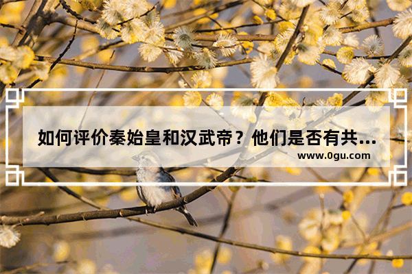 如何评价秦始皇和汉武帝？他们是否有共同点
