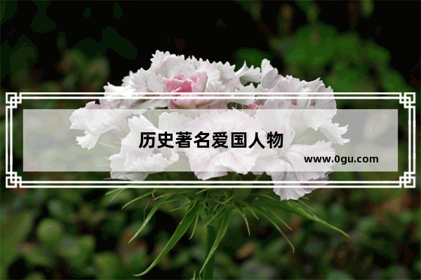 历史著名爱国人物