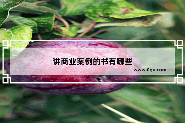 讲商业案例的书有哪些