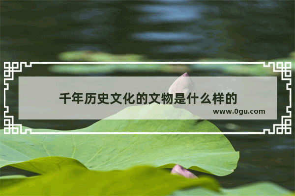千年历史文化的文物是什么样的