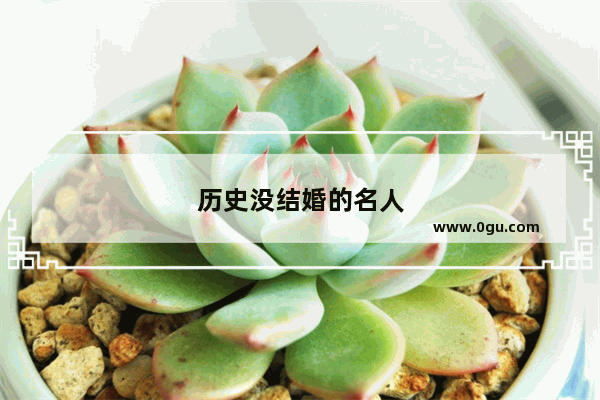 历史没结婚的名人
