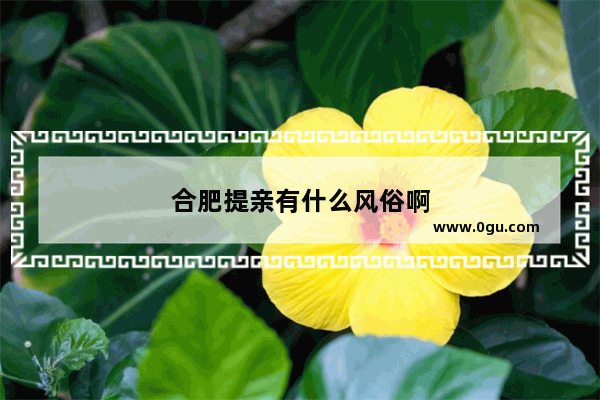 合肥提亲有什么风俗啊