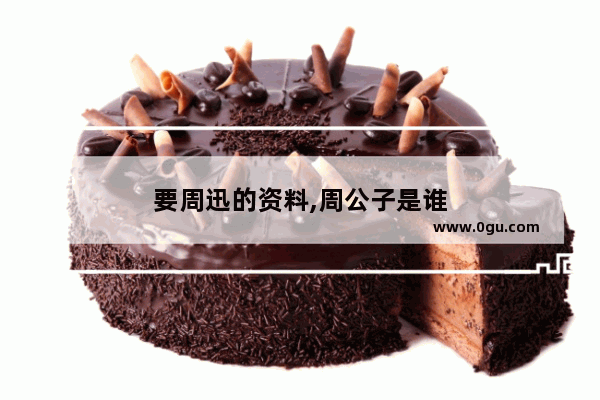 要周迅的资料,周公子是谁