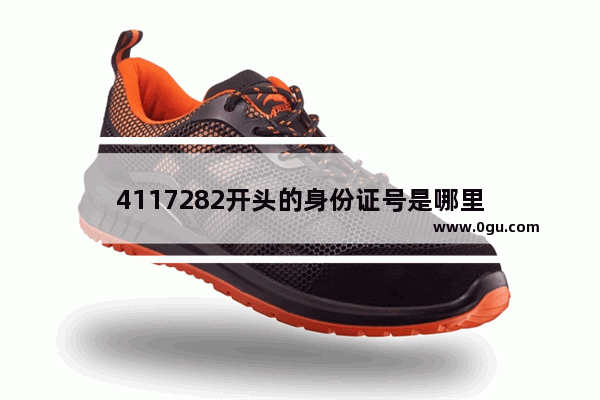 4117282开头的身份证号是哪里