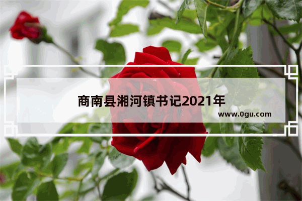 商南县湘河镇书记2021年