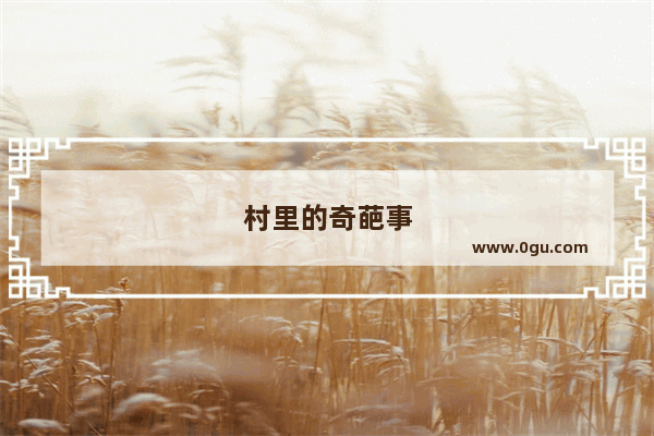 村里的奇葩事