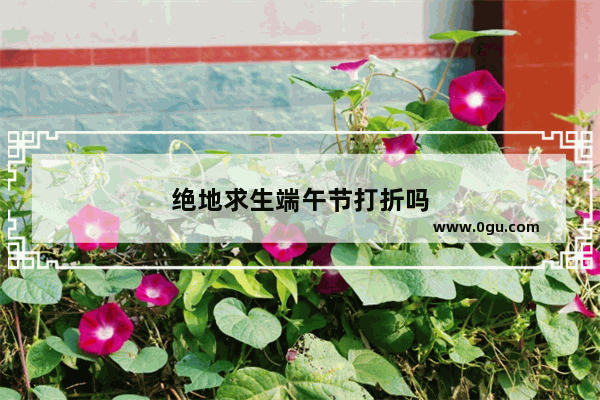 绝地求生端午节打折吗