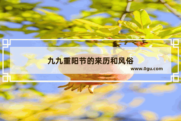 九九重阳节的来历和风俗