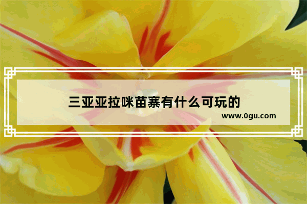 三亚亚拉咪苗寨有什么可玩的