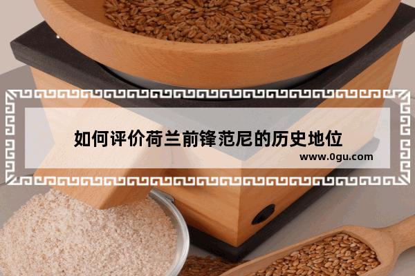 如何评价荷兰前锋范尼的历史地位