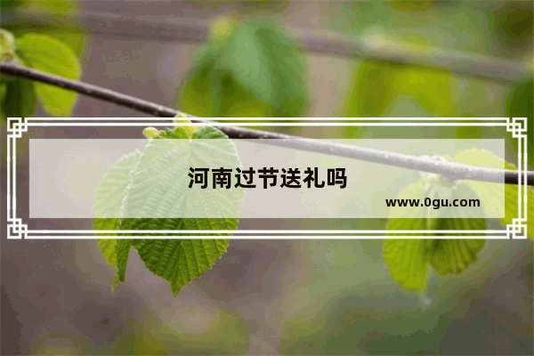 河南过节送礼吗