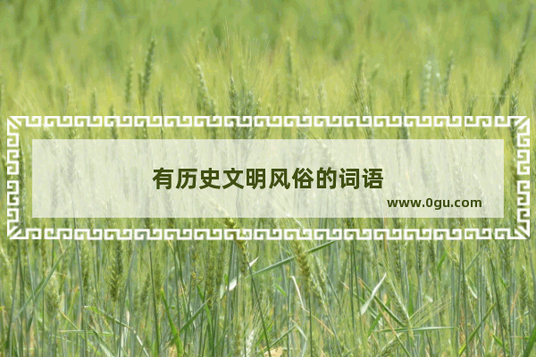 有历史文明风俗的词语