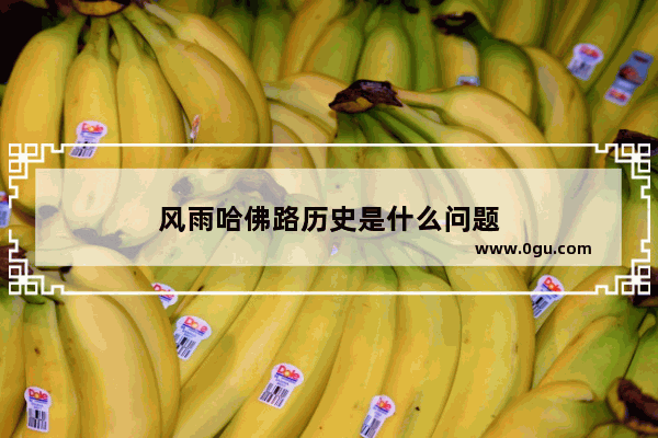 风雨哈佛路历史是什么问题