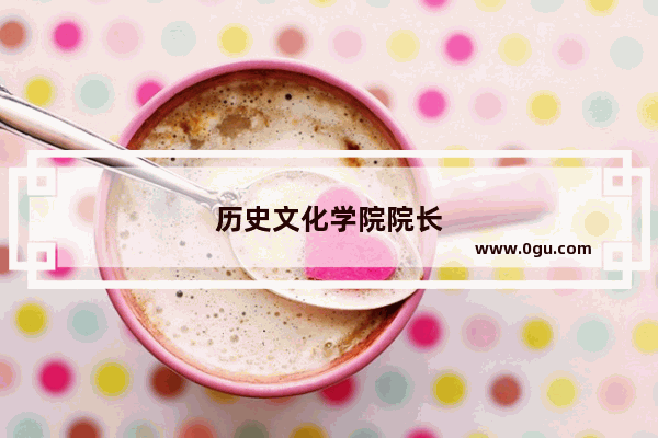 历史文化学院院长