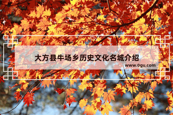 大方县牛场乡历史文化名城介绍