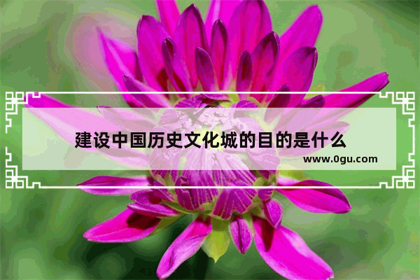 建设中国历史文化城的目的是什么