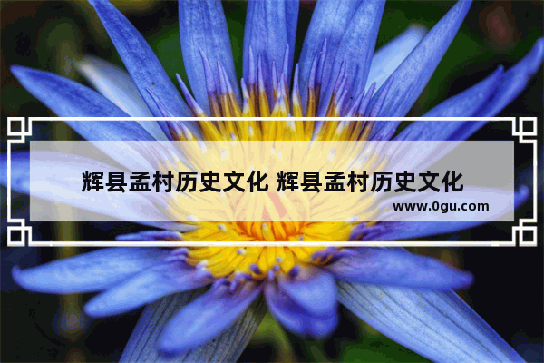 辉县孟村历史文化 辉县孟村历史文化