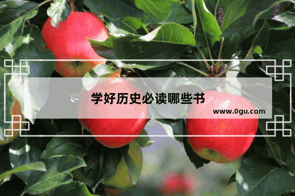 学好历史必读哪些书