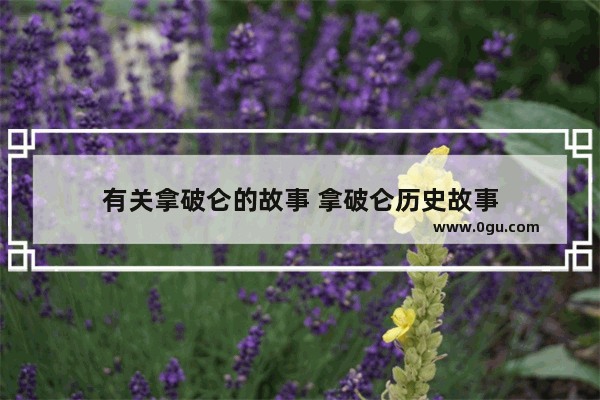 有关拿破仑的故事 拿破仑历史故事