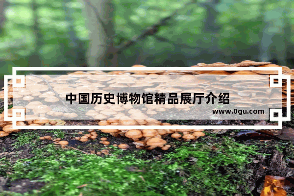 中国历史博物馆精品展厅介绍