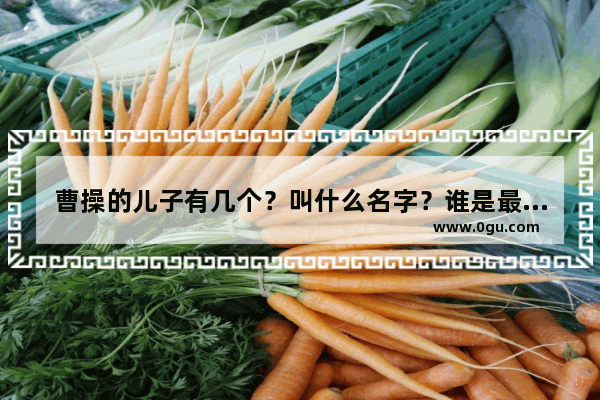 曹操的儿子有几个？叫什么名字？谁是最后的赢家？曹昂死在那