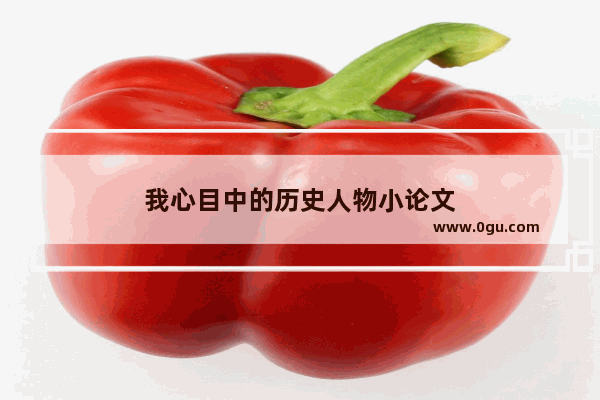 我心目中的历史人物小论文