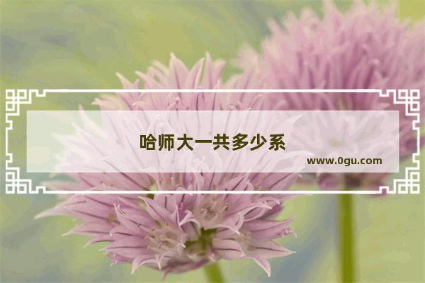 哈师大一共多少系