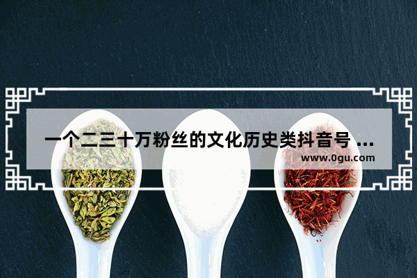 一个二三十万粉丝的文化历史类抖音号 一两千万的播放大几十万点赞 值多少钱