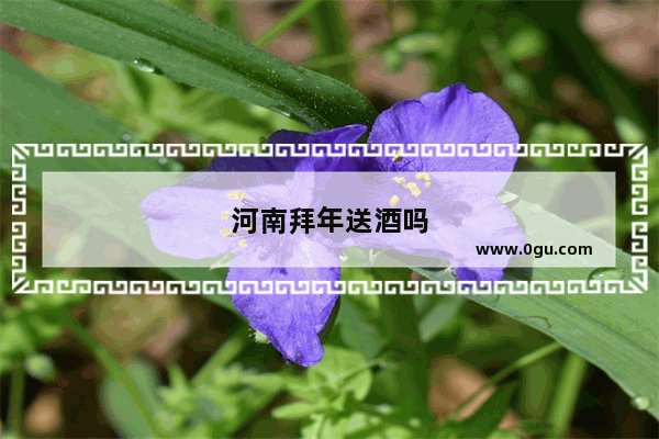 河南拜年送酒吗