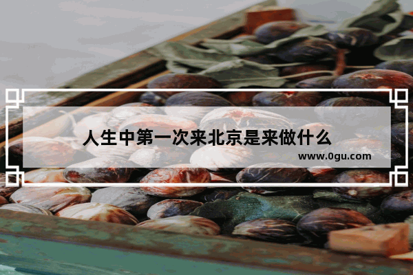 人生中第一次来北京是来做什么