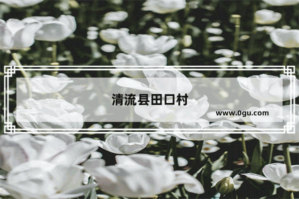 清流县田口村
