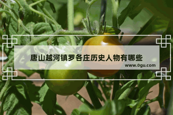 唐山越河镇罗各庄历史人物有哪些