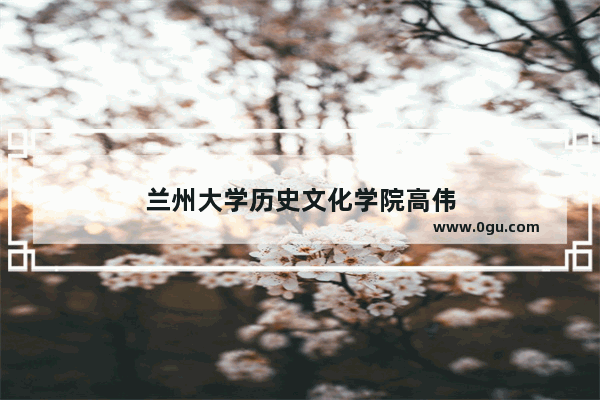 兰州大学历史文化学院高伟