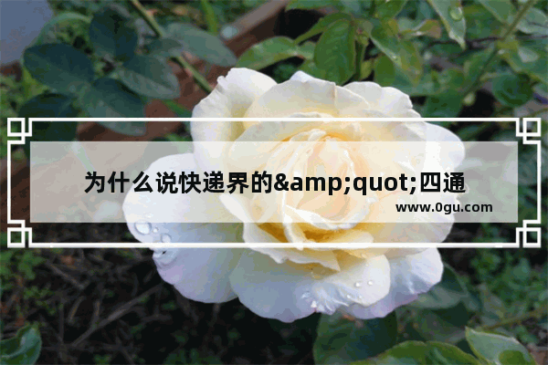 为什么说快递界的&quot;四通一达&quot;是一家人开的 申通才是老大