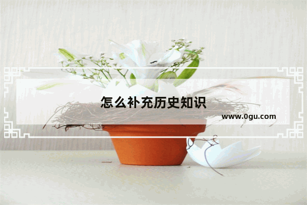 怎么补充历史知识