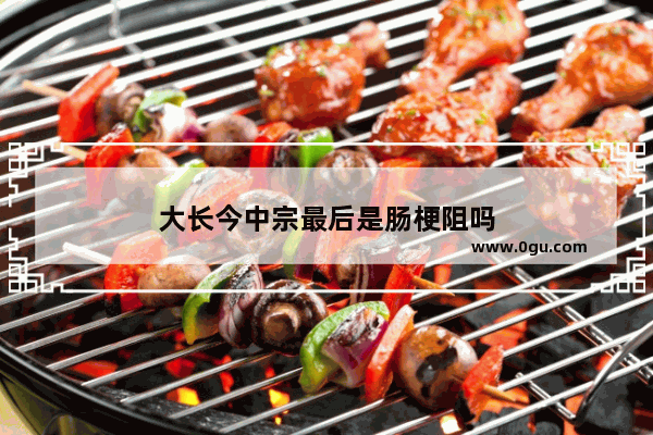大长今中宗最后是肠梗阻吗