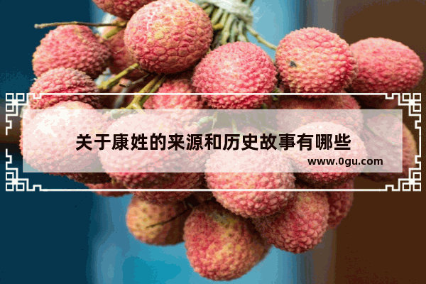 关于康姓的来源和历史故事有哪些