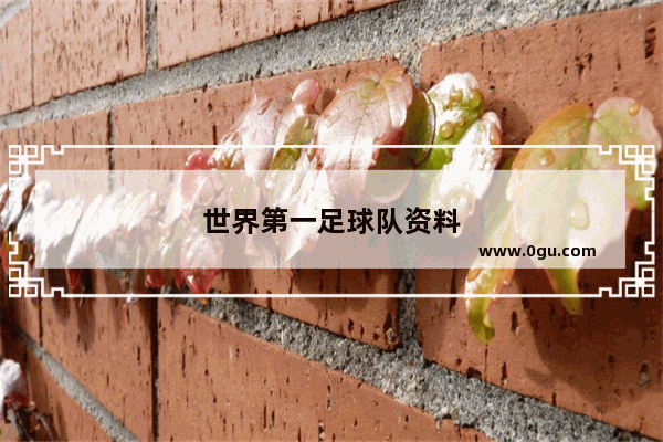 世界第一足球队资料