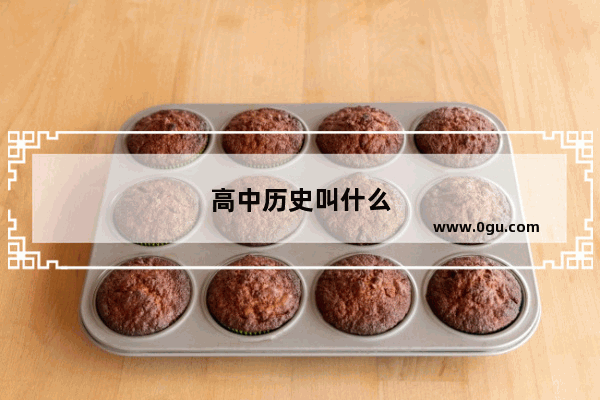 高中历史叫什么