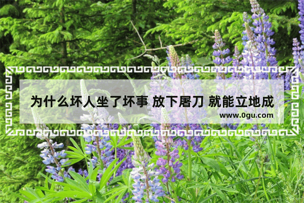 为什么坏人坐了坏事 放下屠刀 就能立地成佛