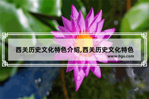 西关历史文化特色介绍,西关历史文化特色