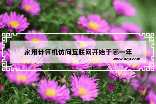 家用计算机访问互联网开始于哪一年