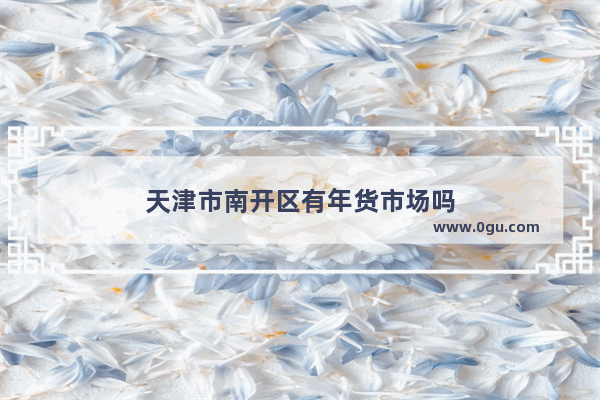 天津市南开区有年货市场吗