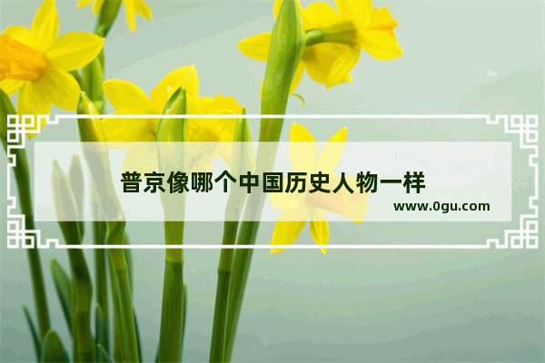 普京像哪个中国历史人物一样
