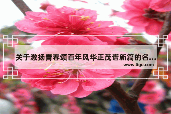 关于激扬青春颂百年风华正茂谱新篇的名人名言