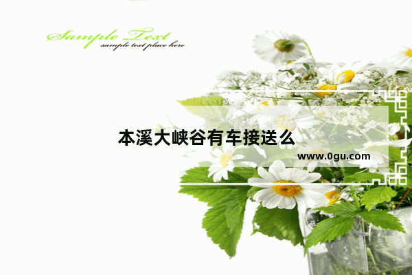 本溪大峡谷有车接送么