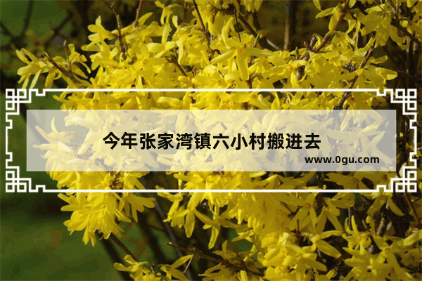 今年张家湾镇六小村搬进去