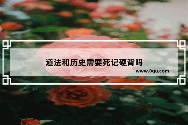 道法和历史需要死记硬背吗