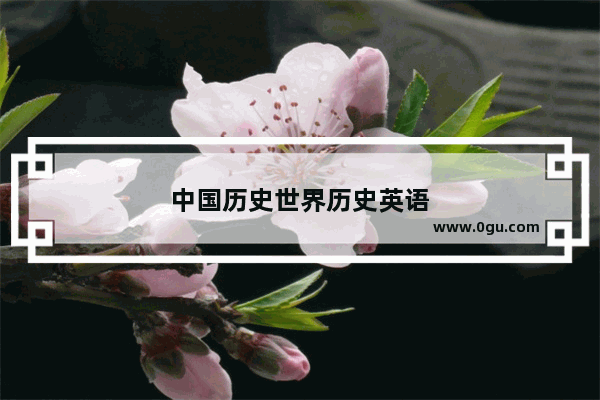 中国历史世界历史英语