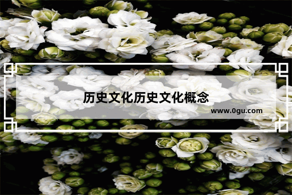 历史文化历史文化概念